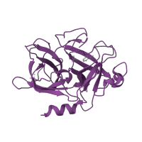 The deposited structure of PDB entry 1f5k contains 1 copy of SCOP domain 50514 (Eukaryotic proteases) in Urokinase-type plasminogen activator chain B. Showing 1 copy in chain A [auth U].