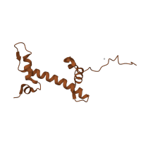 The deposited structure of PDB entry 1f66 contains 2 copies of CATH domain 1.10.20.10 (Histone, subunit A) in Histone H2A.Z. Showing 1 copy in chain I [auth G].
