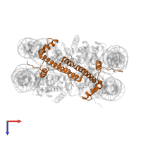 Histone H3.2 in PDB entry 1f66, assembly 1, top view.