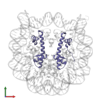 Histone H4 in PDB entry 1f66, assembly 1, front view.