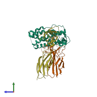 PDB entry 1f6f coloured by chain, side view.