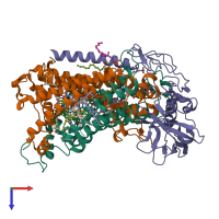 PDB entry 1f6n coloured by chain, top view.