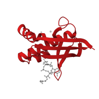 The deposited structure of PDB entry 1f7l contains 1 copy of CATH domain 3.90.470.20 (Ribosomal Protein L22; Chain A) in Holo-[acyl-carrier-protein] synthase. Showing 1 copy in chain A.