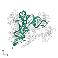 TRNA(ARG) in PDB entry 1f7u, assembly 1, front view.