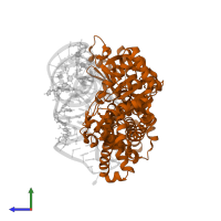 Arginine--tRNA ligase, cytoplasmic in PDB entry 1f7u, assembly 1, side view.