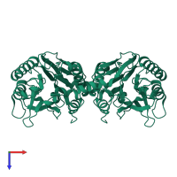 Omega-amidase NIT3 in PDB entry 1f89, assembly 1, top view.