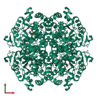 Homo tetrameric assembly 1 of PDB entry 1f8i coloured by chemically distinct molecules, front view.