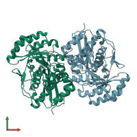 PDB entry 1f9c coloured by chain, front view.