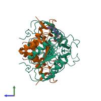 Hetero hexameric assembly 1 of PDB entry 1f9e coloured by chemically distinct molecules, side view.