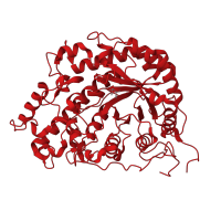 The deposited structure of PDB entry 1fa2 contains 1 copy of CATH domain 3.20.20.80 (TIM Barrel) in Beta-amylase. Showing 1 copy in chain A.