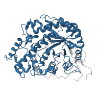 The deposited structure of PDB entry 1fa2 contains 1 copy of Pfam domain PF01373 (Glycosyl hydrolase family 14) in Beta-amylase. Showing 1 copy in chain A.