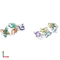 PDB entry 1fbi coloured by chain, front view.