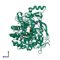 PDB entry 1fbw coloured by chain, side view.