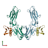 PDB entry 1fcc coloured by chain, front view.