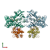 PDB entry 1fcd coloured by chain, front view.