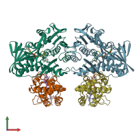 PDB entry 1fcd coloured by chain, front view.