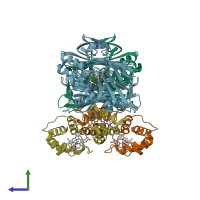 PDB entry 1fcd coloured by chain, side view.