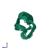 PDB entry 1fcl coloured by chain, ensemble of 40 models, side view.