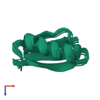PDB entry 1fcl coloured by chain, ensemble of 40 models, top view.