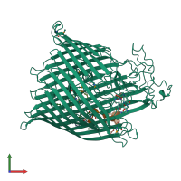 PDB entry 1fcp coloured by chain, front view.