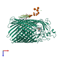 PDB entry 1fcp coloured by chain, top view.