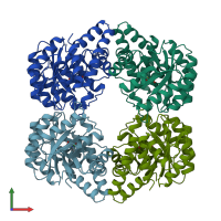 PDB entry 1fdy coloured by chain, front view.