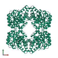 Homo tetrameric assembly 1 of PDB entry 1fdz coloured by chemically distinct molecules, front view.