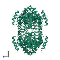 Homo tetrameric assembly 1 of PDB entry 1fdz coloured by chemically distinct molecules, side view.