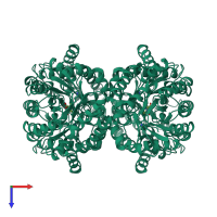 Homo tetrameric assembly 1 of PDB entry 1fdz coloured by chemically distinct molecules, top view.