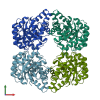 PDB entry 1fdz coloured by chain, front view.