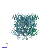 PDB entry 1fec coloured by chain, side view.