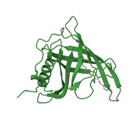 The deposited structure of PDB entry 1fel contains 1 copy of SCOP domain 50815 (Retinol binding protein-like) in Retinol-binding protein 4. Showing 1 copy in chain A.