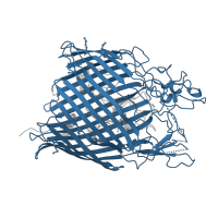 The deposited structure of PDB entry 1fep contains 1 copy of CATH domain 2.40.170.20 (Maltoporin; Chain A) in Ferrienterobactin receptor. Showing 1 copy in chain A.