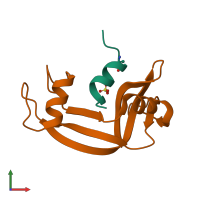 PDB entry 1fev coloured by chain, front view.