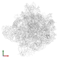 Large ribosomal subunit protein eL31 in PDB entry 1ffk, assembly 1, front view.