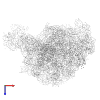 Large ribosomal subunit protein eL31 in PDB entry 1ffk, assembly 1, top view.