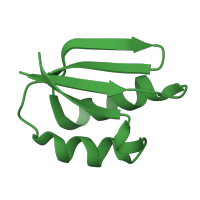 The deposited structure of PDB entry 1ffw contains 2 copies of SCOP domain 55053 (CheY-binding domain of CheA) in Chemotaxis protein CheA. Showing 1 copy in chain B.