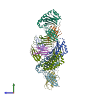 PDB entry 1fg2 coloured by chain, side view.