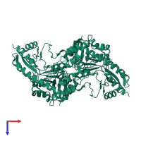 Histidinol-phosphate aminotransferase in PDB entry 1fg7, assembly 1, top view.