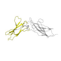 The deposited structure of PDB entry 1fg9 contains 3 copies of Pfam domain PF01108 (Tissue factor) in Interferon gamma receptor 1. Showing 1 copy in chain C.