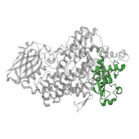 The deposited structure of PDB entry 1fgr contains 1 copy of CATH domain 3.10.450.60 (Nuclear Transport Factor 2; Chain: A,) in Seed linoleate 13S-lipoxygenase-1. Showing 1 copy in chain A.