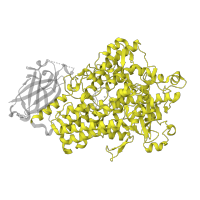 The deposited structure of PDB entry 1fgr contains 1 copy of Pfam domain PF00305 (Lipoxygenase) in Seed linoleate 13S-lipoxygenase-1. Showing 1 copy in chain A.