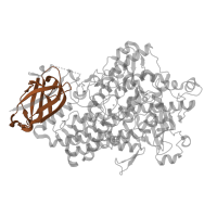 The deposited structure of PDB entry 1fgr contains 1 copy of Pfam domain PF01477 (PLAT/LH2 domain) in Seed linoleate 13S-lipoxygenase-1. Showing 1 copy in chain A.