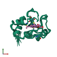 PDB entry 1fhb coloured by chain, ensemble of 17 models, front view.