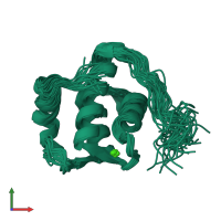 PDB entry 1fi6 coloured by chain, ensemble of 30 models, front view.