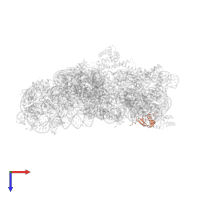 Small ribosomal subunit protein uS19 in PDB entry 1fjg, assembly 1, top view.