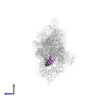 Small ribosomal subunit protein uS7 in PDB entry 1fjg, assembly 1, side view.