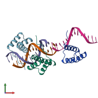 PDB entry 1fjl coloured by chain, front view.