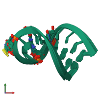 PDB entry 1fl8 coloured by chain, ensemble of 20 models, front view.