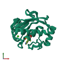 PDB entry 1fm1 coloured by chain, ensemble of 30 models, front view.